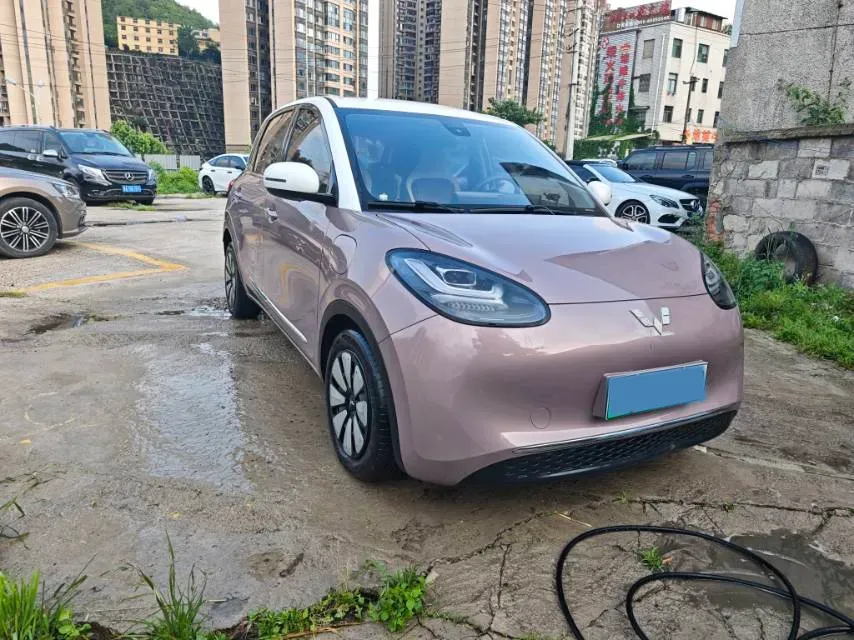 2023 WuLing BinGuo BEV 31.9KWH,autocango,china used car exporter,china ev exporter,chinese used car exporter,chinese used ev exporter