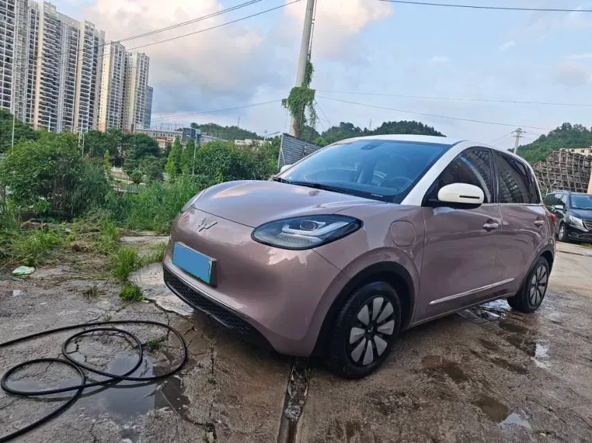 2023 WuLing BinGuo BEV 31.9KWH,autocango,china used car exporter,china ev exporter,chinese used car exporter,chinese used ev exporter