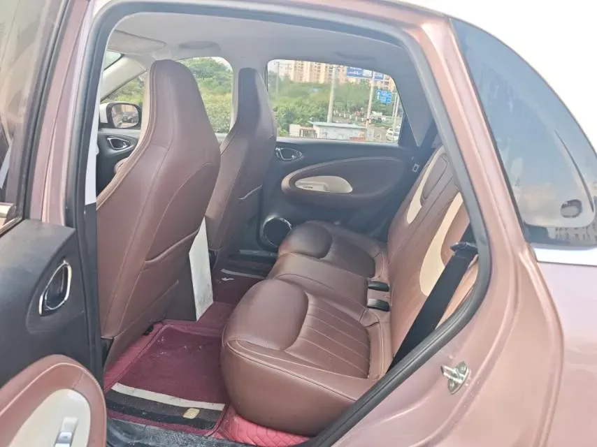 2023 WuLing BinGuo BEV 31.9KWH,autocango,china used car exporter,china ev exporter,chinese used car exporter,chinese used ev exporter