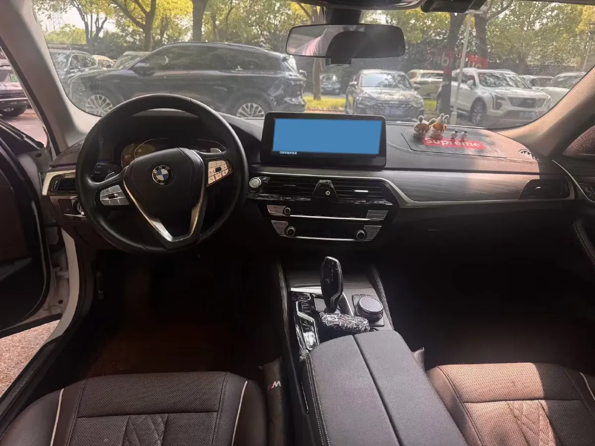 2021 BMW 5 Series 2.0T 252HP L4 8AT,autocango,china used car exporter,china ev exporter,chinese used car exporter,chinese used ev exporter