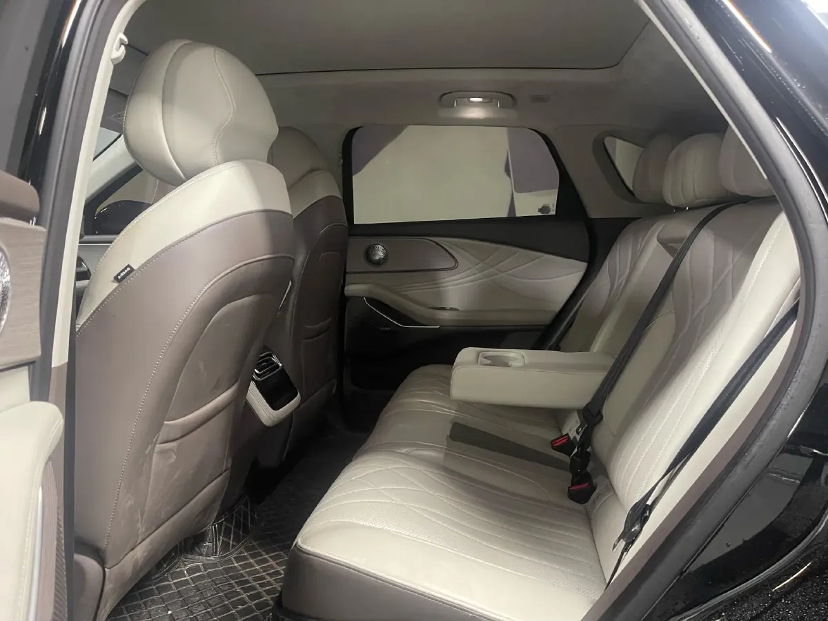 2024 Exceed RX C-DM 1.5T 156HP L4 3DHT PHEV 19.43KWH,autocango,china used car exporter,china ev exporter,chinese used car exporter,chinese used ev exporter