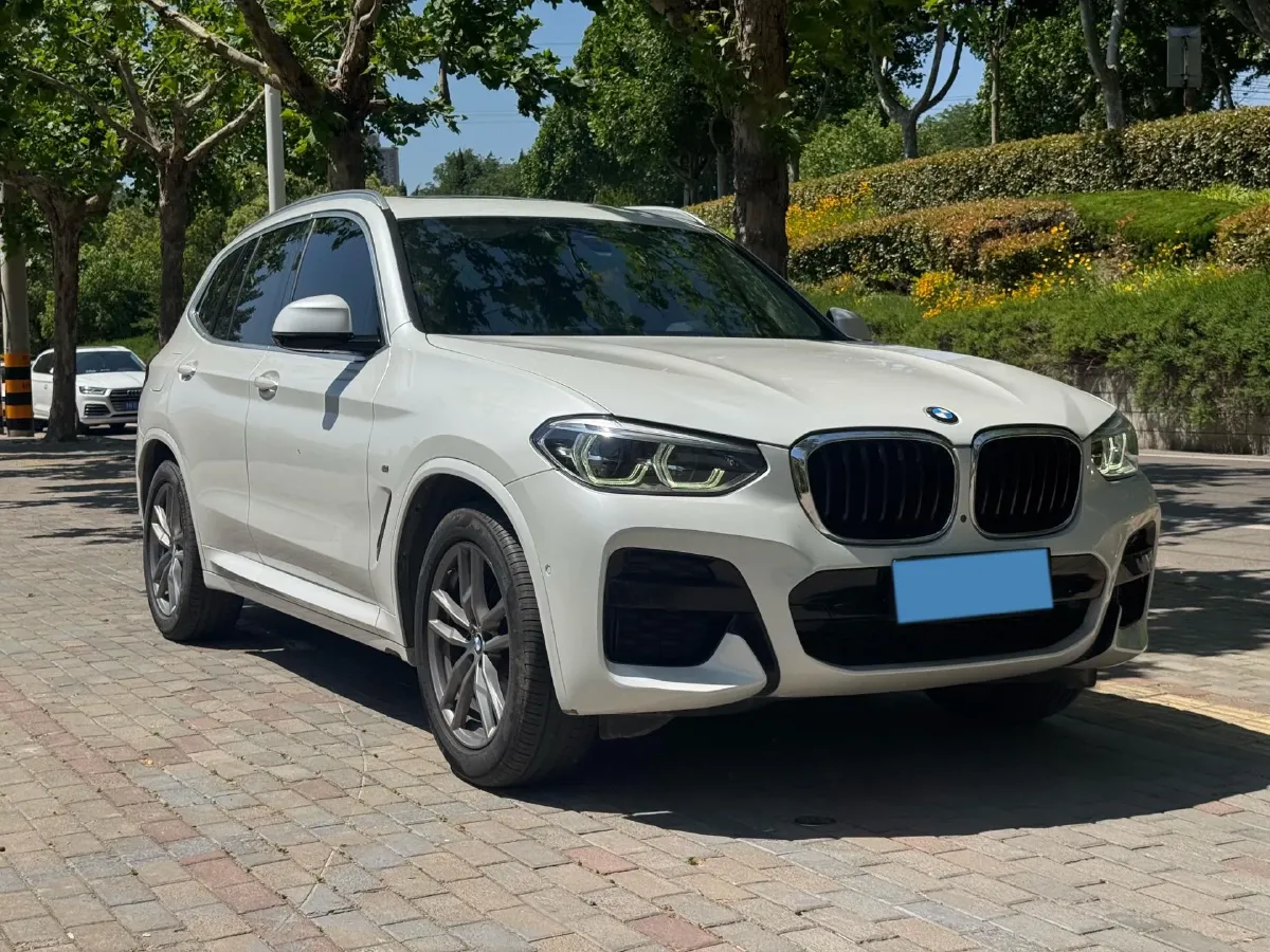 2021 BMW X3 2.0T 224HP L4 8AT,autocango,china used car exporter,china ev exporter,chinese used car exporter,chinese used ev exporter