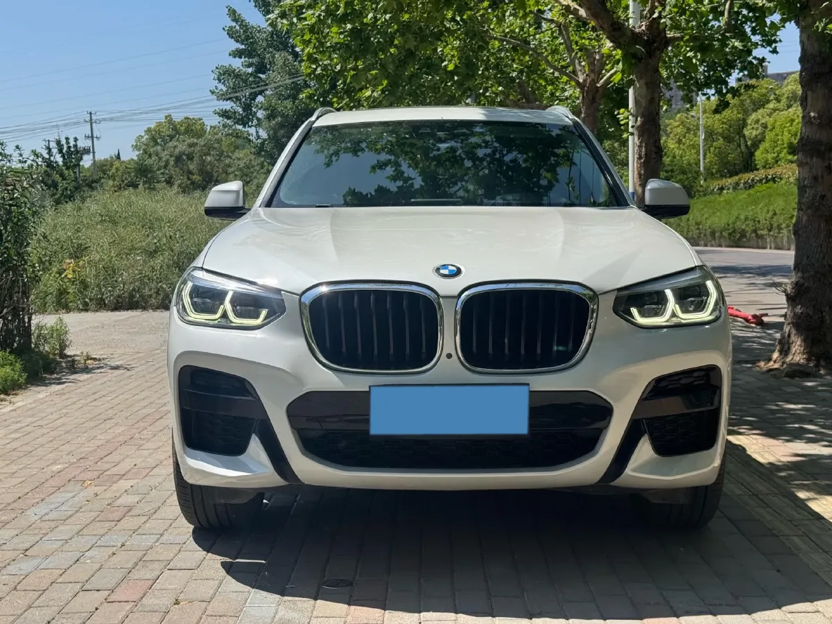 2021 BMW X3 2.0T 224HP L4 8AT,autocango,china used car exporter,china ev exporter,chinese used car exporter,chinese used ev exporter