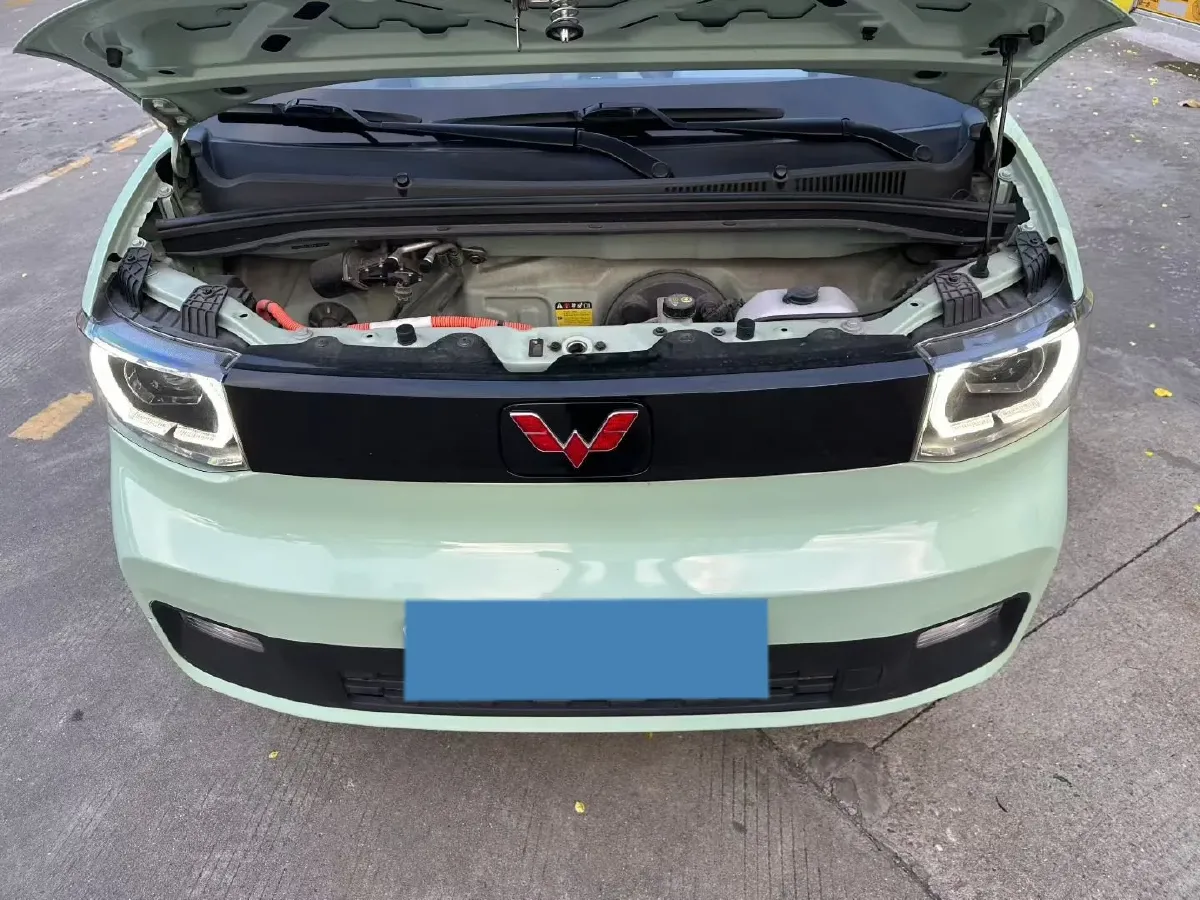 2020 WuLing HongGuang MINI EV BEV 13.8KWH,autocango,china used car exporter,china ev exporter,chinese used car exporter,chinese used ev exporter