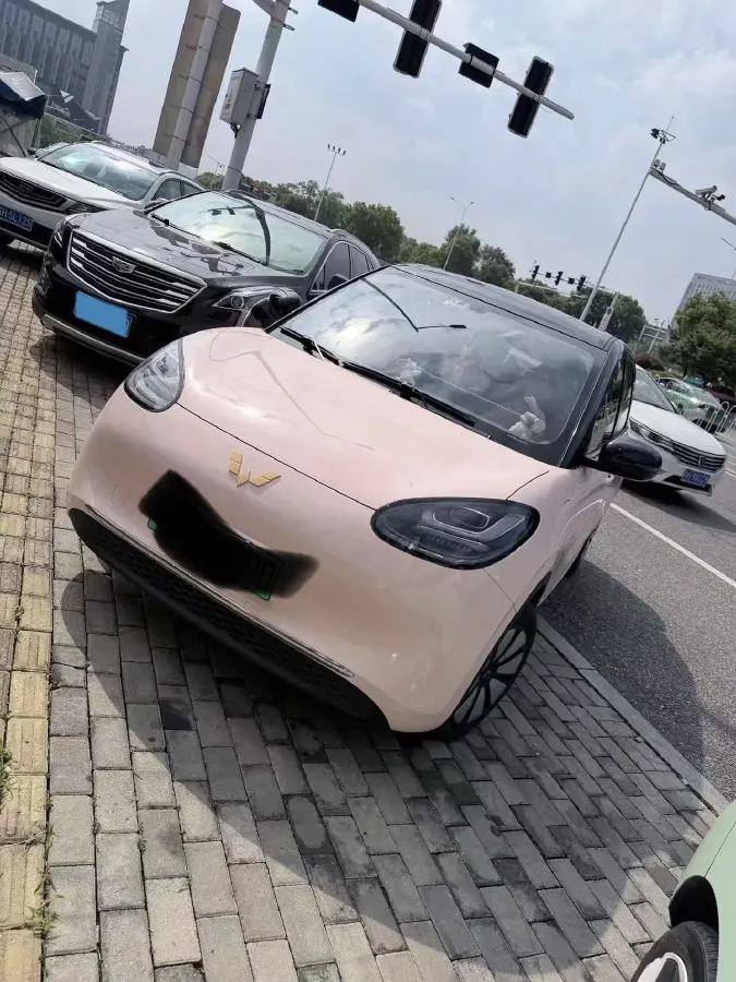 2024 WuLing BinGuo BEV 31.9KWH,autocango,china used car exporter,china ev exporter,chinese used car exporter,chinese used ev exporter