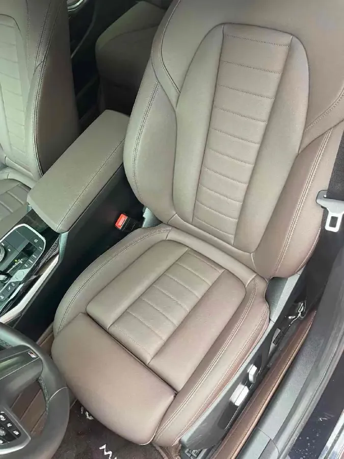2020 BMW 3 Series 2.0T 156HP L4 8AT,autocango,china used car exporter,china ev exporter,chinese used car exporter,chinese used ev exporter