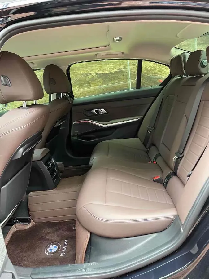 2020 BMW 3 Series 2.0T 156HP L4 8AT,autocango,china used car exporter,china ev exporter,chinese used car exporter,chinese used ev exporter