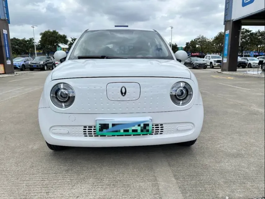 2022 Ora BlackCat BEV 30.3KWH,autocango,china used car exporter,china ev exporter,chinese used car exporter,chinese used ev exporter