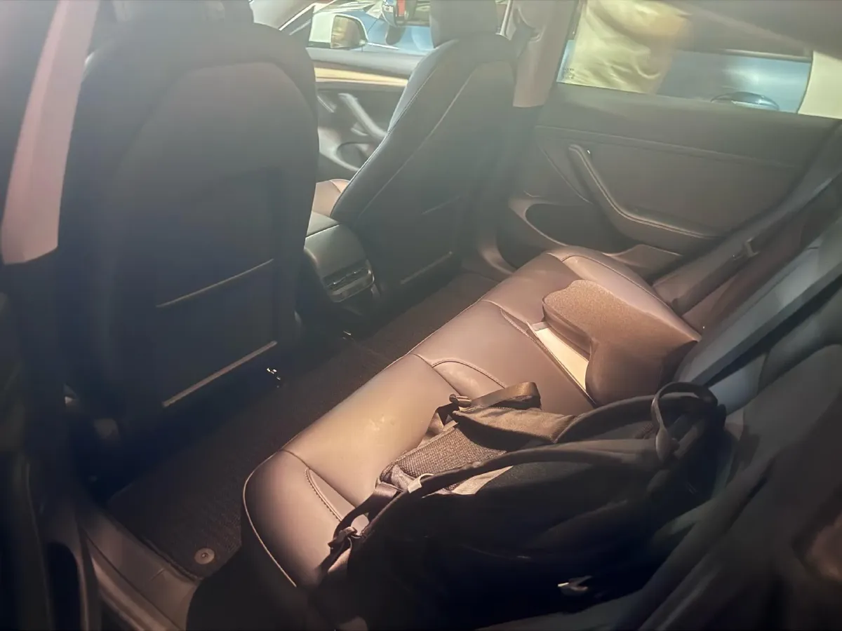 2022 Tesla Model 3 BEV 60KWH,autocango,china used car exporter,china ev exporter,chinese used car exporter,chinese used ev exporter