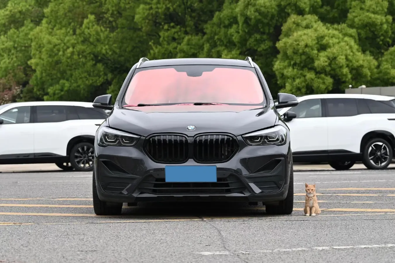 2022 BMW X1 2.0T 192HP L4 7DCT,autocango,china used car exporter,china ev exporter,chinese used car exporter,chinese used ev exporter
