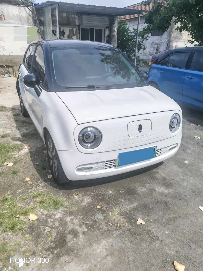 2021 Ora BlackCat BEV 33KWH,autocango,china used car exporter,china ev exporter,chinese used car exporter,chinese used ev exporter