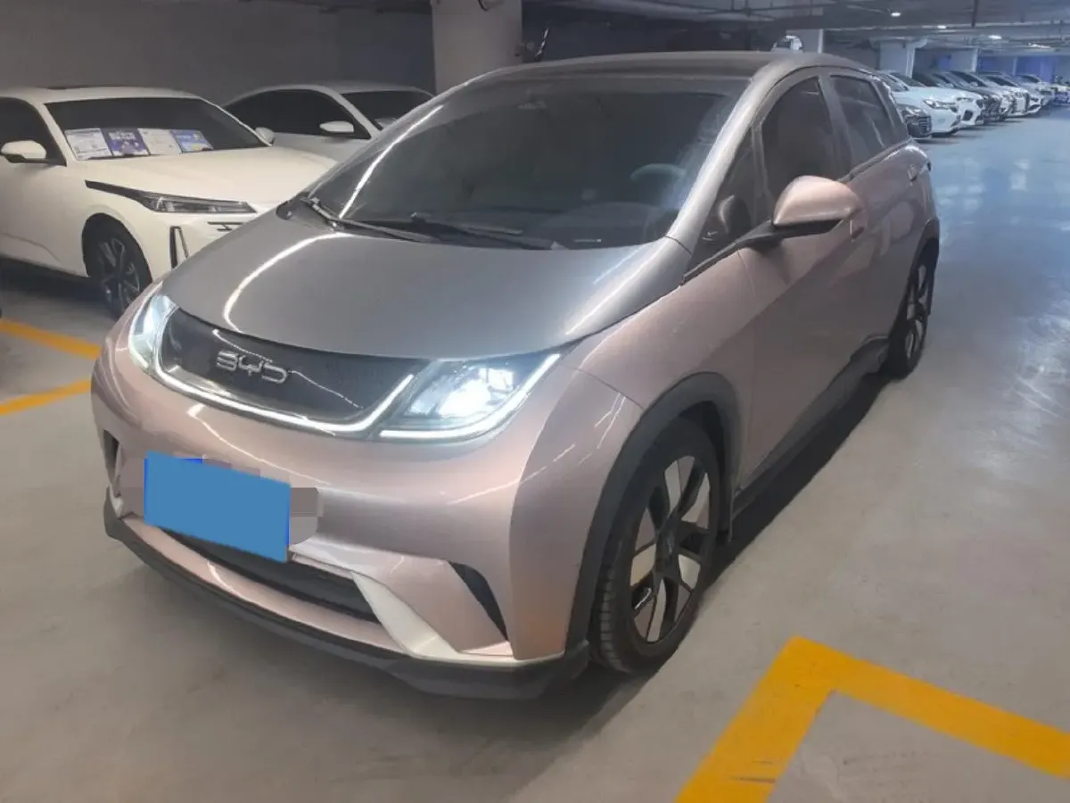 2021 BYD e2 BEV 43.2KWH,autocango,china used car exporter,china ev exporter,chinese used car exporter,chinese used ev exporter