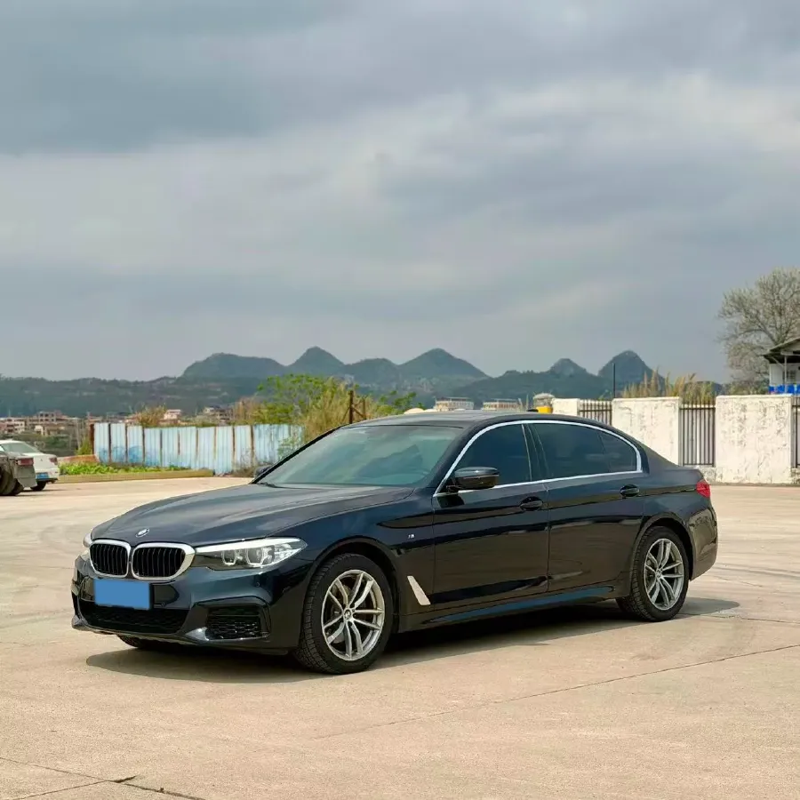 2020 BMW 5 Series 2.0T 184HP L4 8AT,autocango,china used car exporter,china ev exporter,chinese used car exporter,chinese used ev exporter