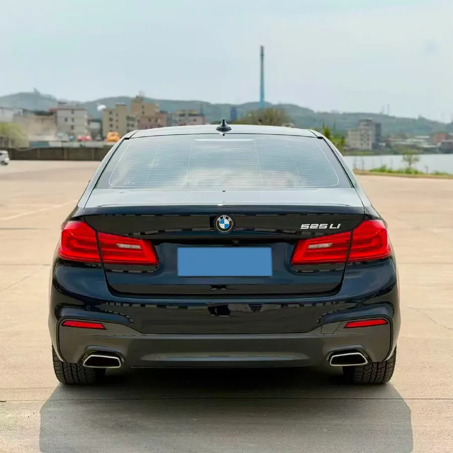 2020 BMW 5 Series 2.0T 184HP L4 8AT,autocango,china used car exporter,china ev exporter,chinese used car exporter,chinese used ev exporter