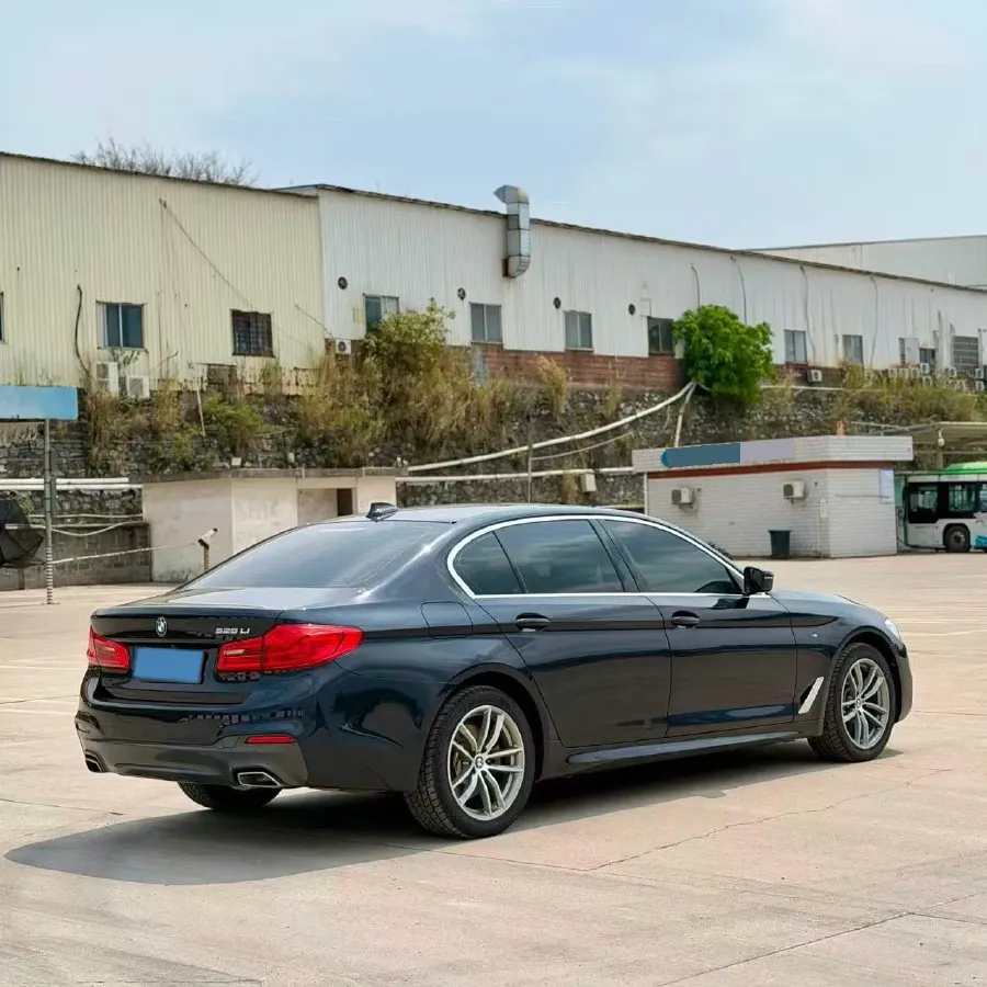 2020 BMW 5 Series 2.0T 184HP L4 8AT,autocango,china used car exporter,china ev exporter,chinese used car exporter,chinese used ev exporter