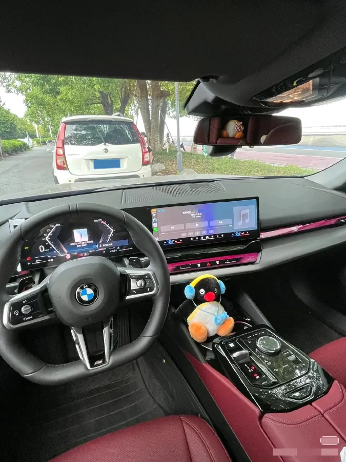 2025 BMW 5 Series 2.0T 258HP L4 8AT,autocango,china used car exporter,china ev exporter,chinese used car exporter,chinese used ev exporter