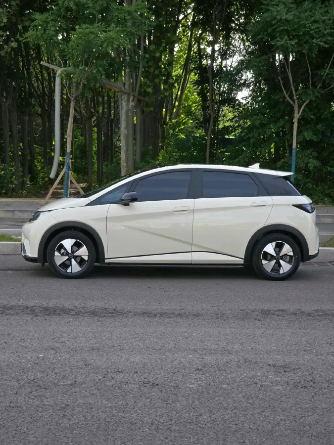 2023 BYD Dolphin BEV 44.928KWH,autocango,china used car exporter,china ev exporter,chinese used car exporter,chinese used ev exporter