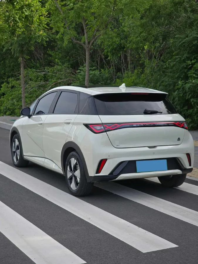 2023 BYD Dolphin BEV 44.928KWH,autocango,china used car exporter,china ev exporter,chinese used car exporter,chinese used ev exporter