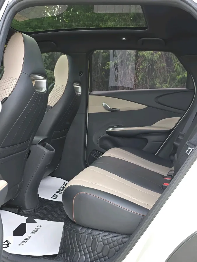 2023 BYD Dolphin BEV 44.928KWH,autocango,china used car exporter,china ev exporter,chinese used car exporter,chinese used ev exporter