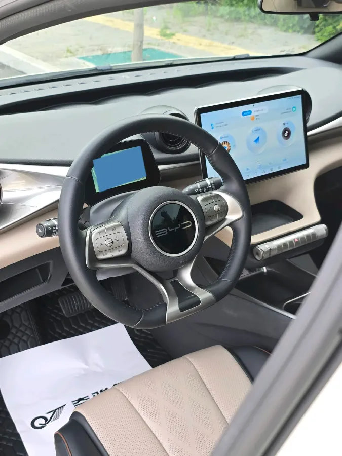 2023 BYD Dolphin BEV 44.928KWH,autocango,china used car exporter,china ev exporter,chinese used car exporter,chinese used ev exporter
