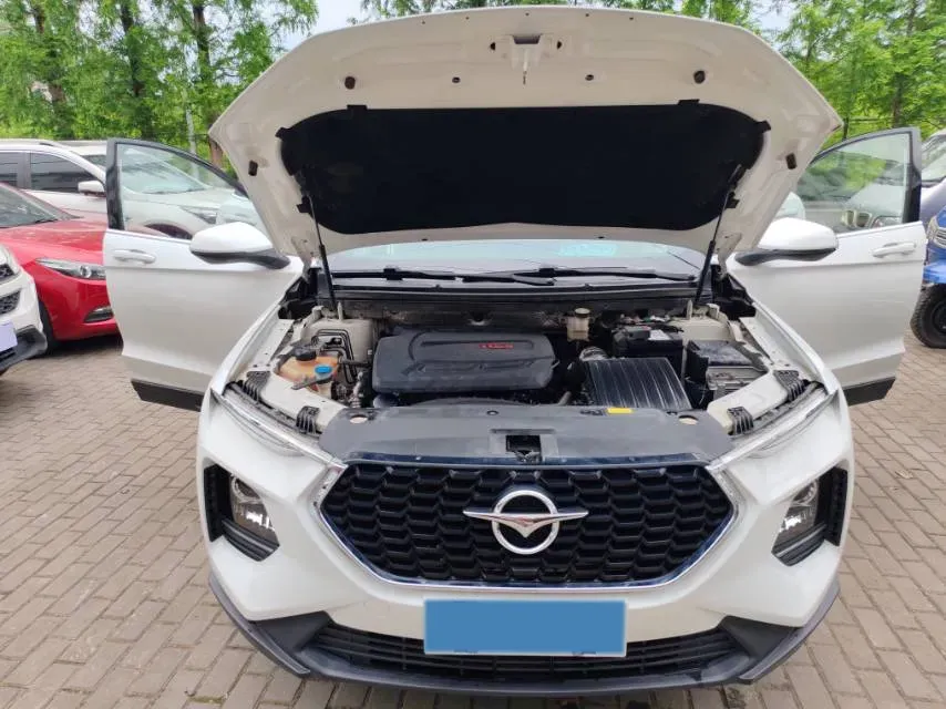 2020 HaiMa 8S 1.6T 195HP L4 6AT,autocango,china used car exporter,china ev exporter,chinese used car exporter,chinese used ev exporter