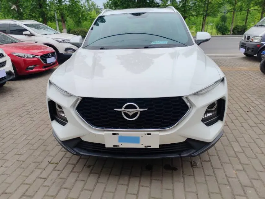 2020 HaiMa 8S 1.6T 195HP L4 6AT,autocango,china used car exporter,china ev exporter,chinese used car exporter,chinese used ev exporter
