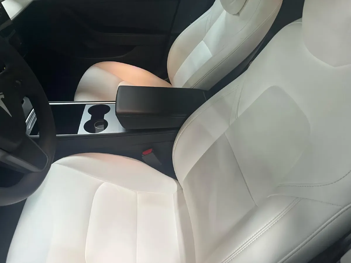 2021 Tesla Model 3 BEV 76.8KWH,autocango,china used car exporter,china ev exporter,chinese used car exporter,chinese used ev exporter
