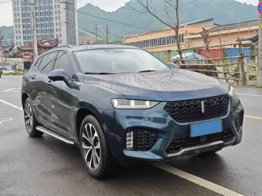 2019 WEY VV7 2.0T 234HP L4 7DCT,autocango,china used car exporter,china ev exporter,chinese used car exporter,chinese used ev exporter