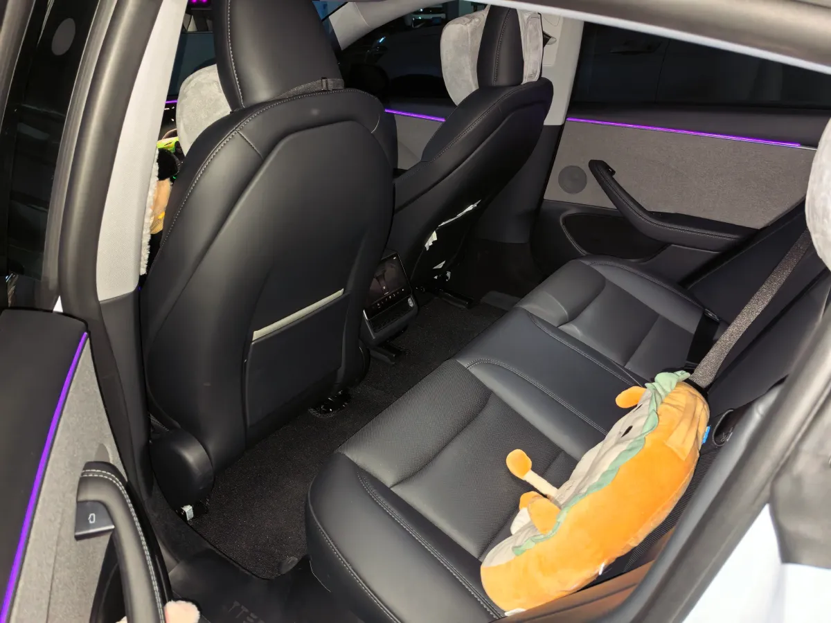 2025 Tesla Model 3 BEV 62.5KWH,autocango,china used car exporter,china ev exporter,chinese used car exporter,chinese used ev exporter