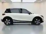 2024 Smart smart Elf 1 BEV 49KWH