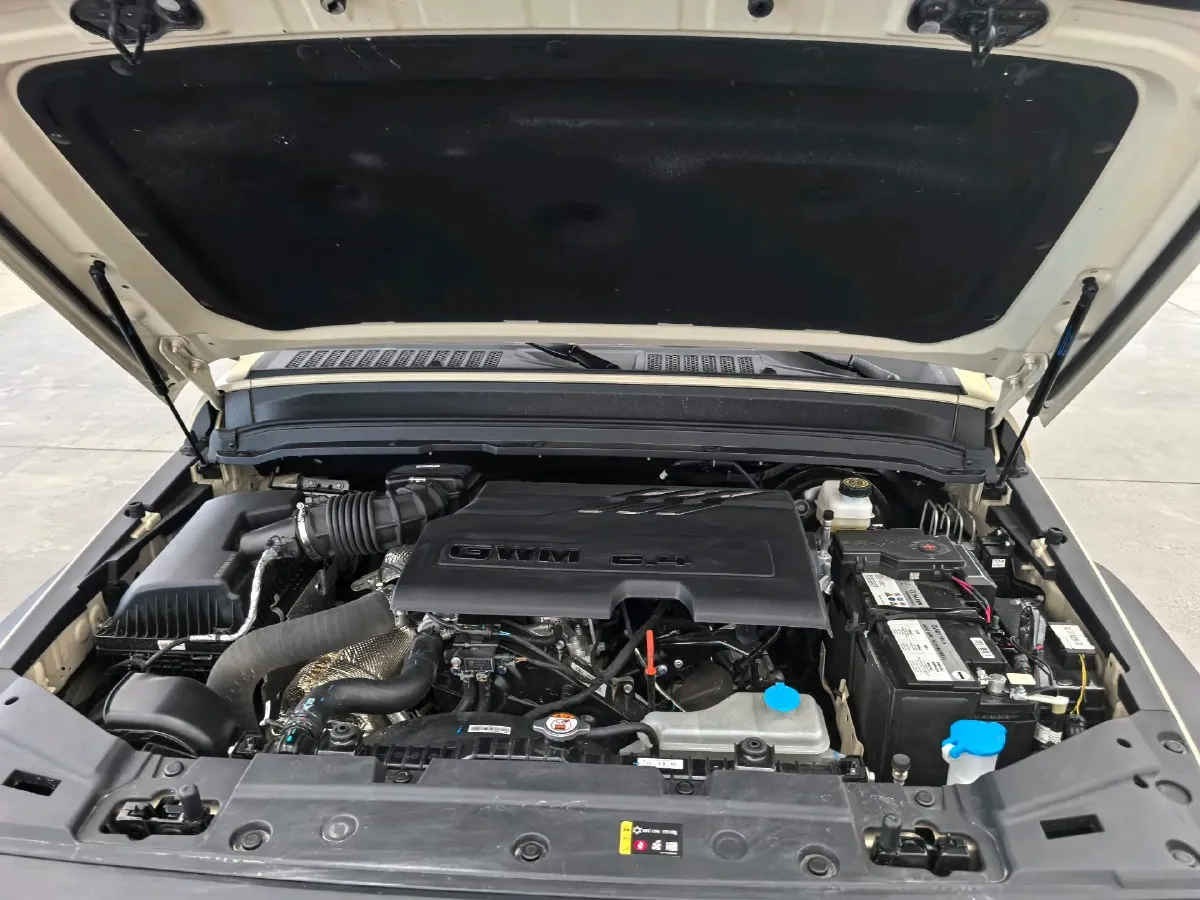 2025 Tank 300 2.4T 186HP L4 9AT,autocango,china used car exporter,china ev exporter,chinese used car exporter,chinese used ev exporter