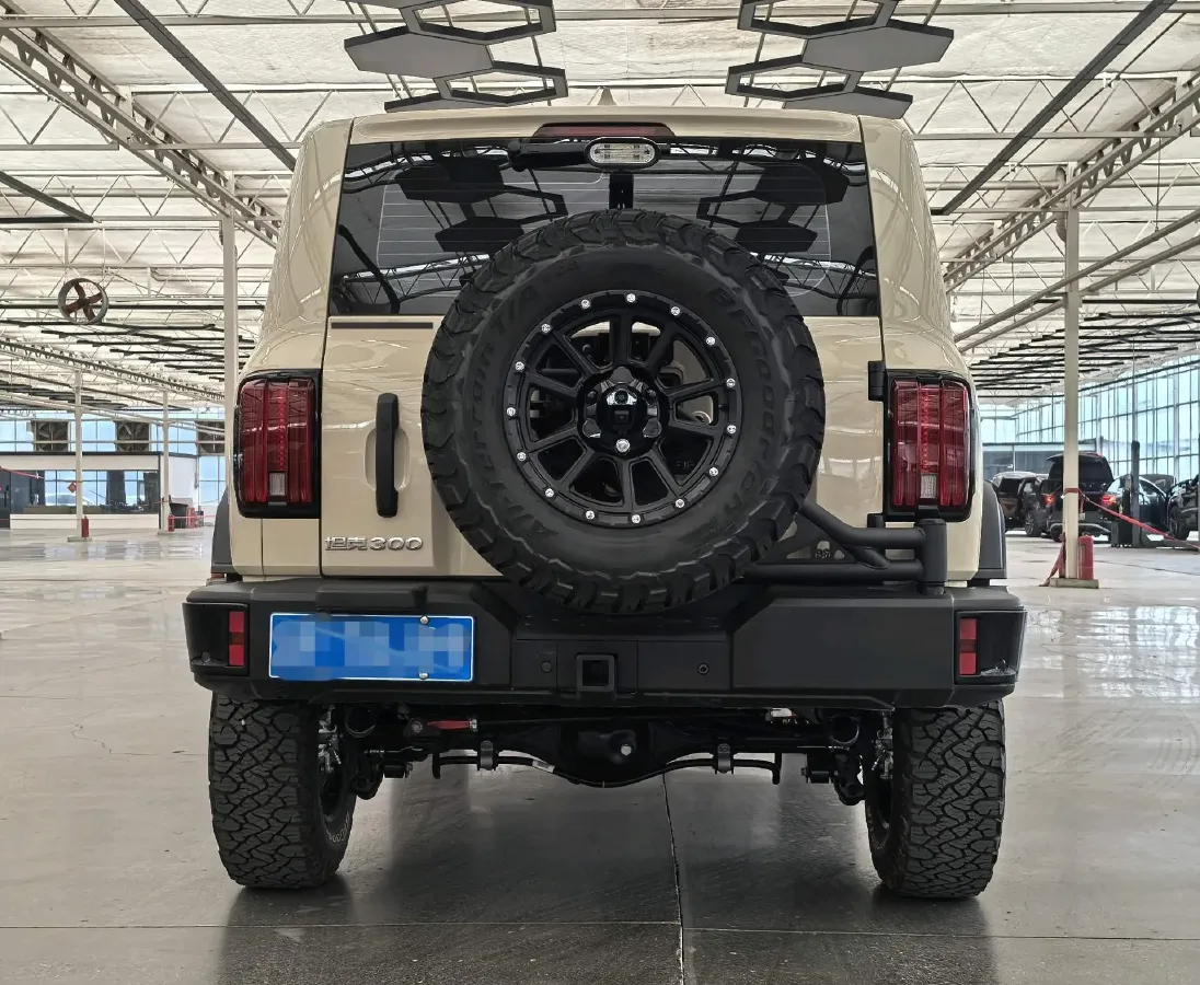 2025 Tank 300 2.4T 186HP L4 9AT,autocango,china used car exporter,china ev exporter,chinese used car exporter,chinese used ev exporter