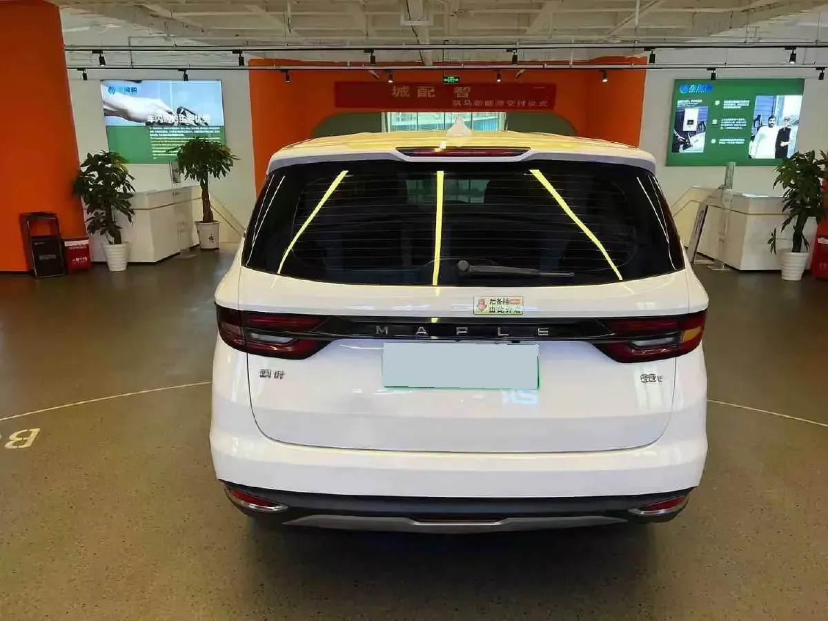 2021 LiFan Maple 80v BEV 53KWH,autocango,china used car exporter,china ev exporter,chinese used car exporter,chinese used ev exporter