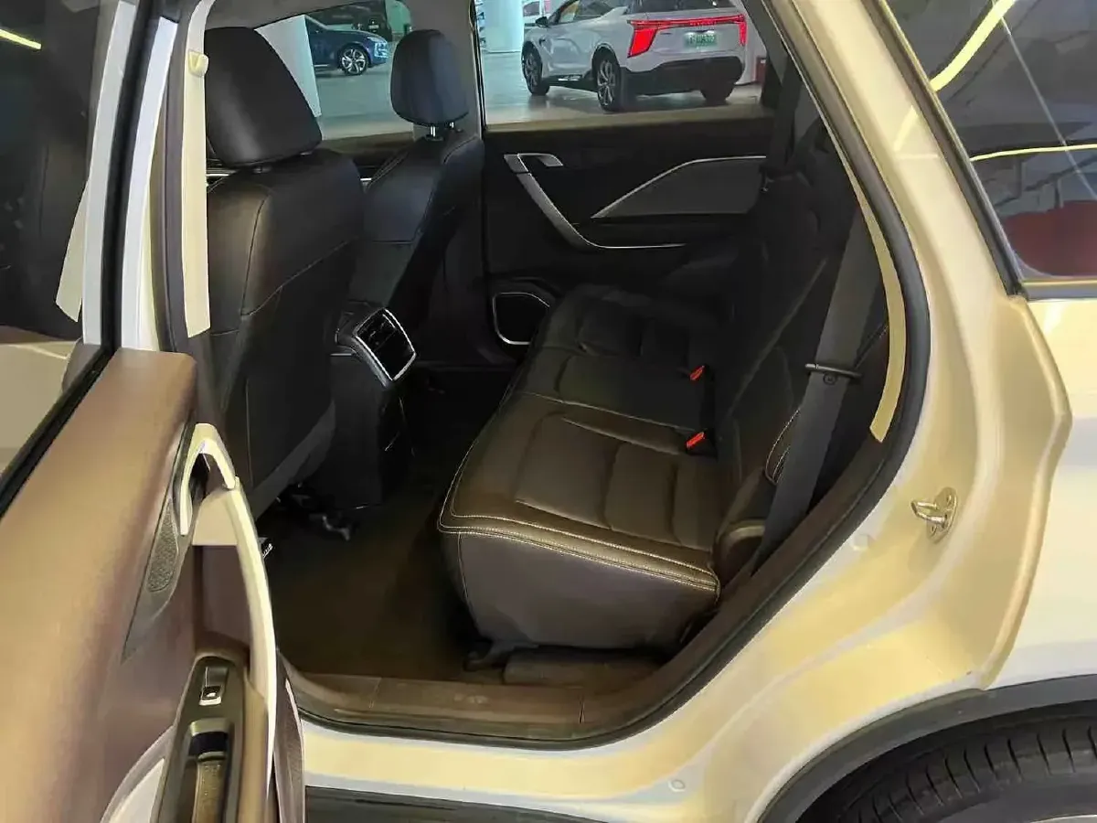 2021 LiFan Maple 80v BEV 53KWH,autocango,china used car exporter,china ev exporter,chinese used car exporter,chinese used ev exporter