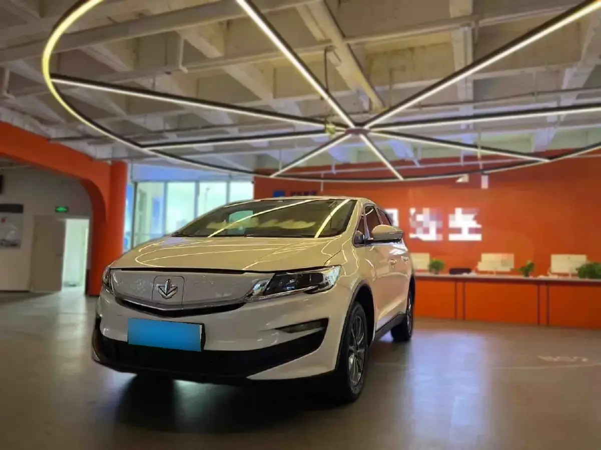 2021 LiFan Maple 80v BEV 53KWH