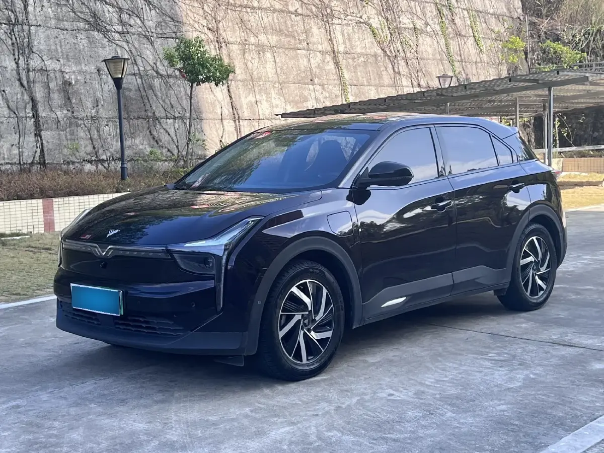 2021 Neta U BEV 66.23KWH
