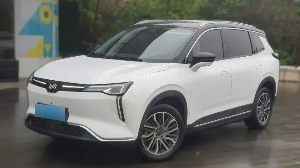 2021 Weltmeister W6 BEV 66.231KWH