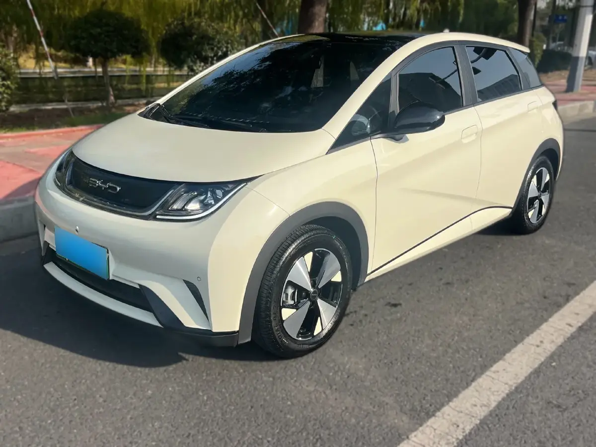 2023 BYD Yuan Pro BEV 38KWH