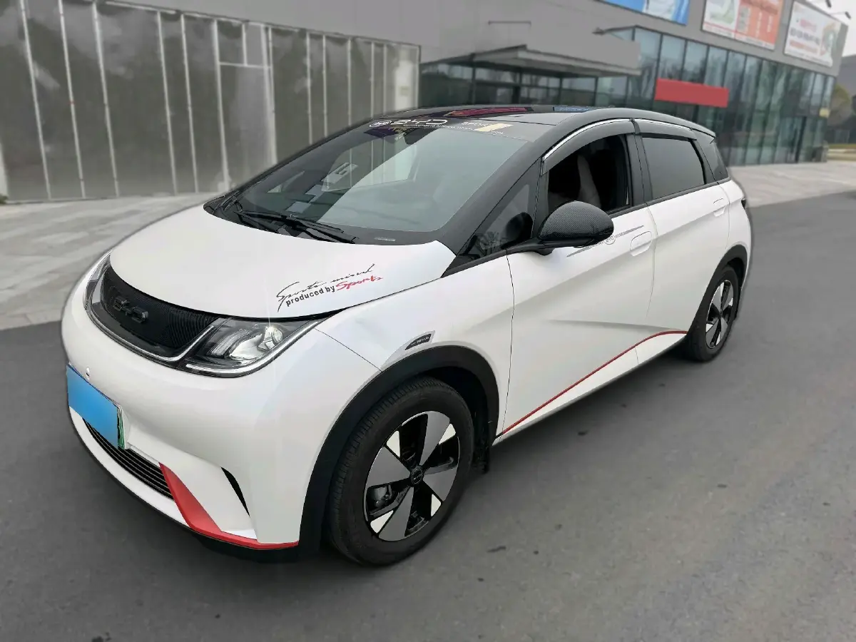 2023 BYD Dolphin BEV 44.928KWH