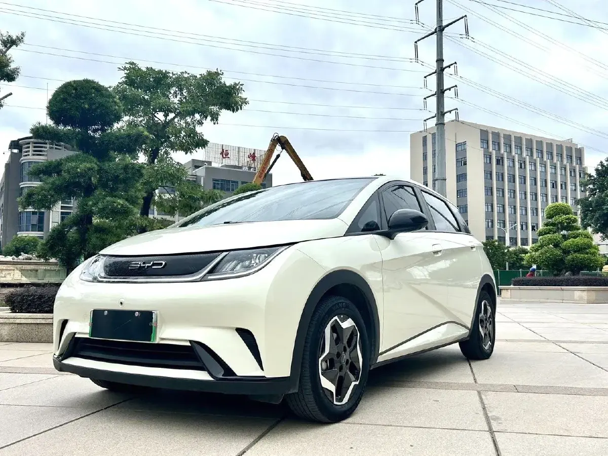 2021 BYD Dolphin BEV 44.9KWH