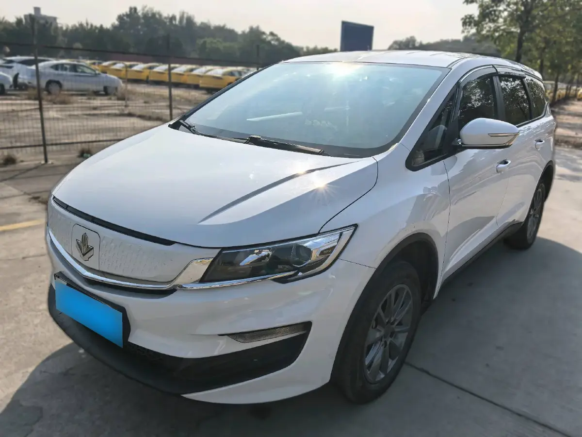 2021 Livan Maple 80v BEV