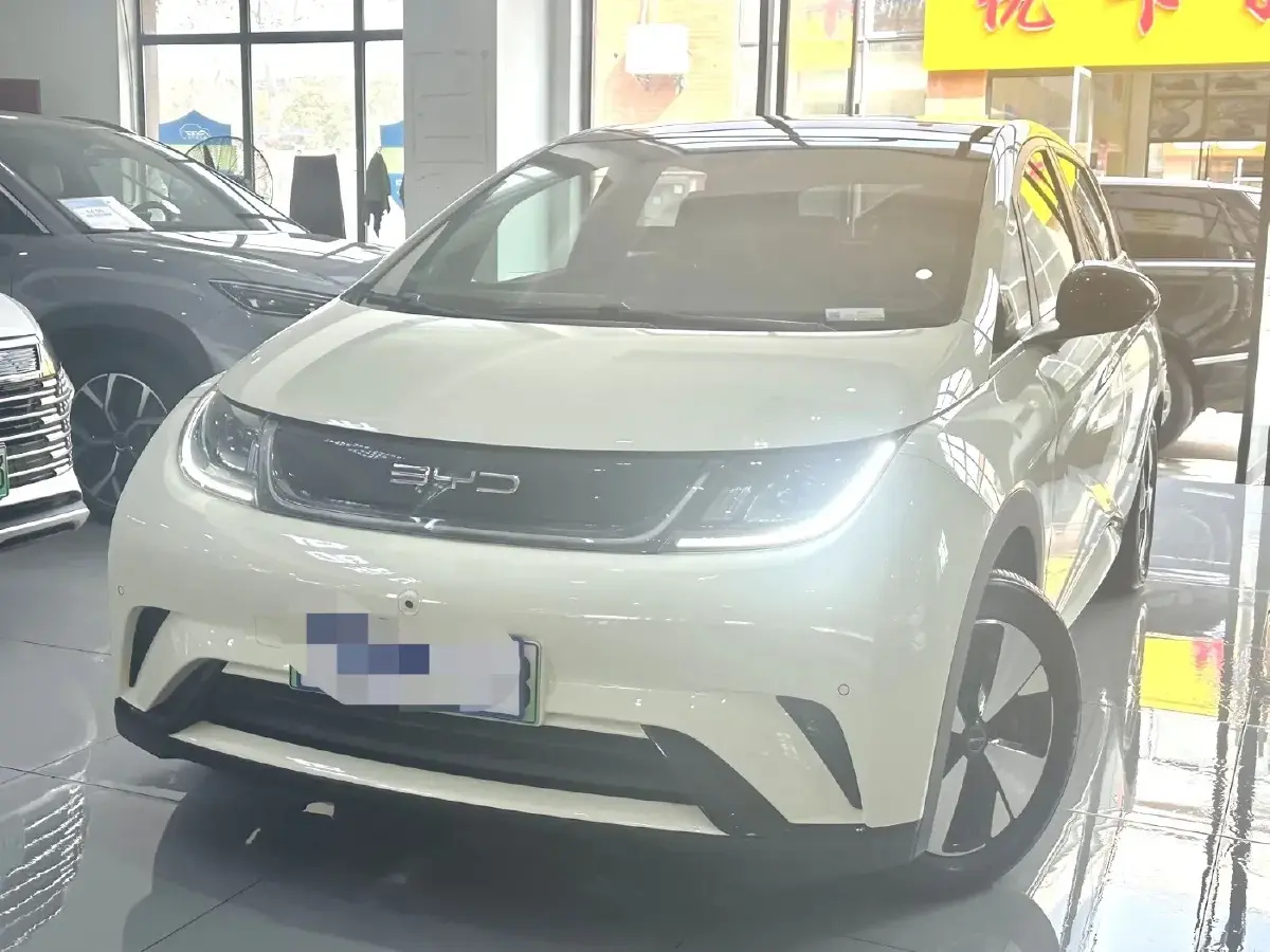 2023 BYD Dolphin BEV 44.928KWH