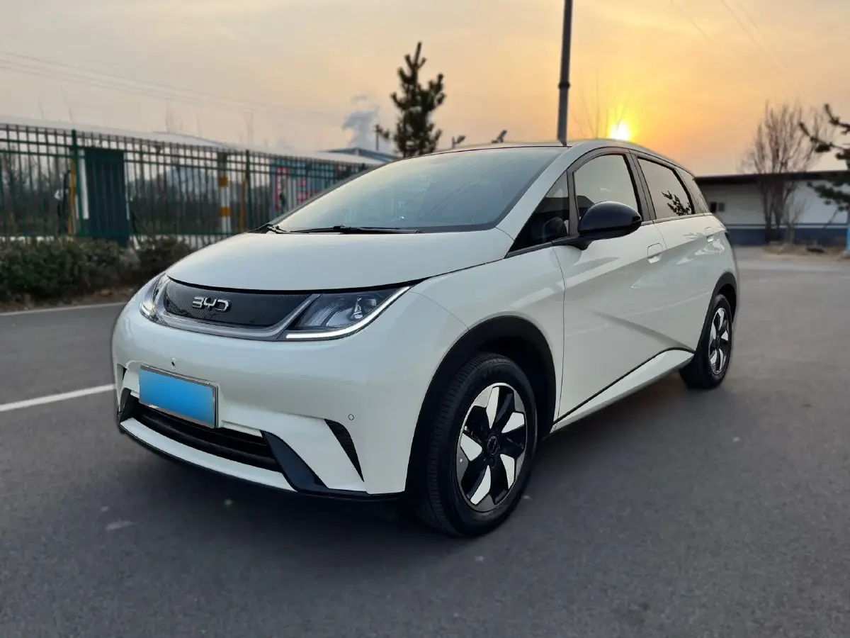 2024 BYD Dolphin BEV 44.928KWH