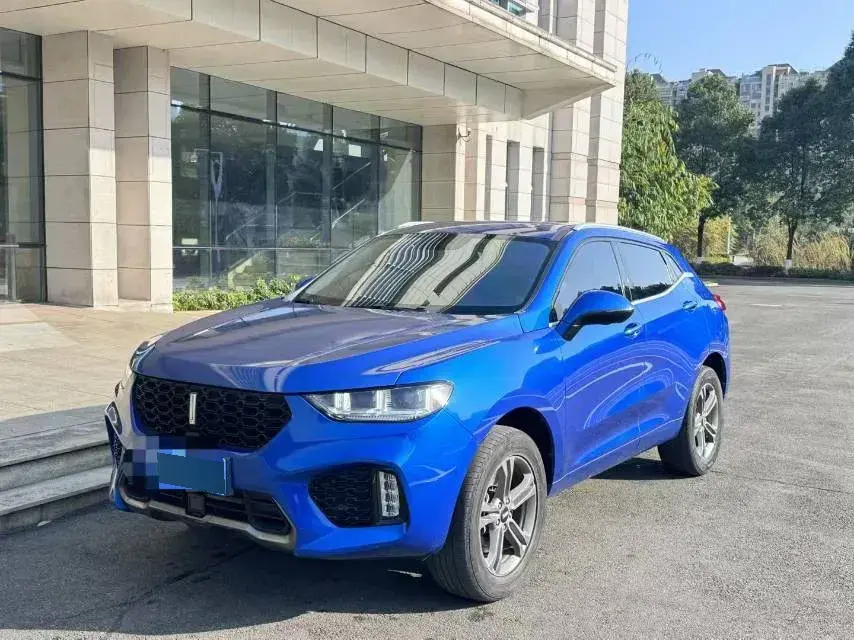 2019 WEY VV5 2.0T 197HP L4 7DCT