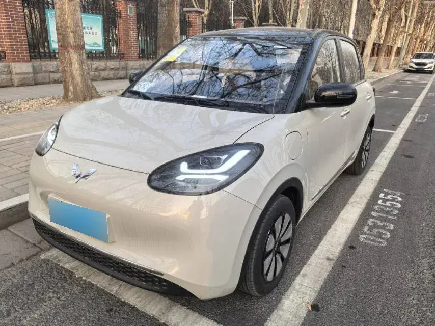 2024 WuLing BinGuo BEV 31.9KWH