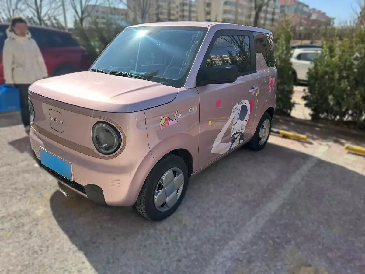 2023 Geely Panda BEV 17.03KWH