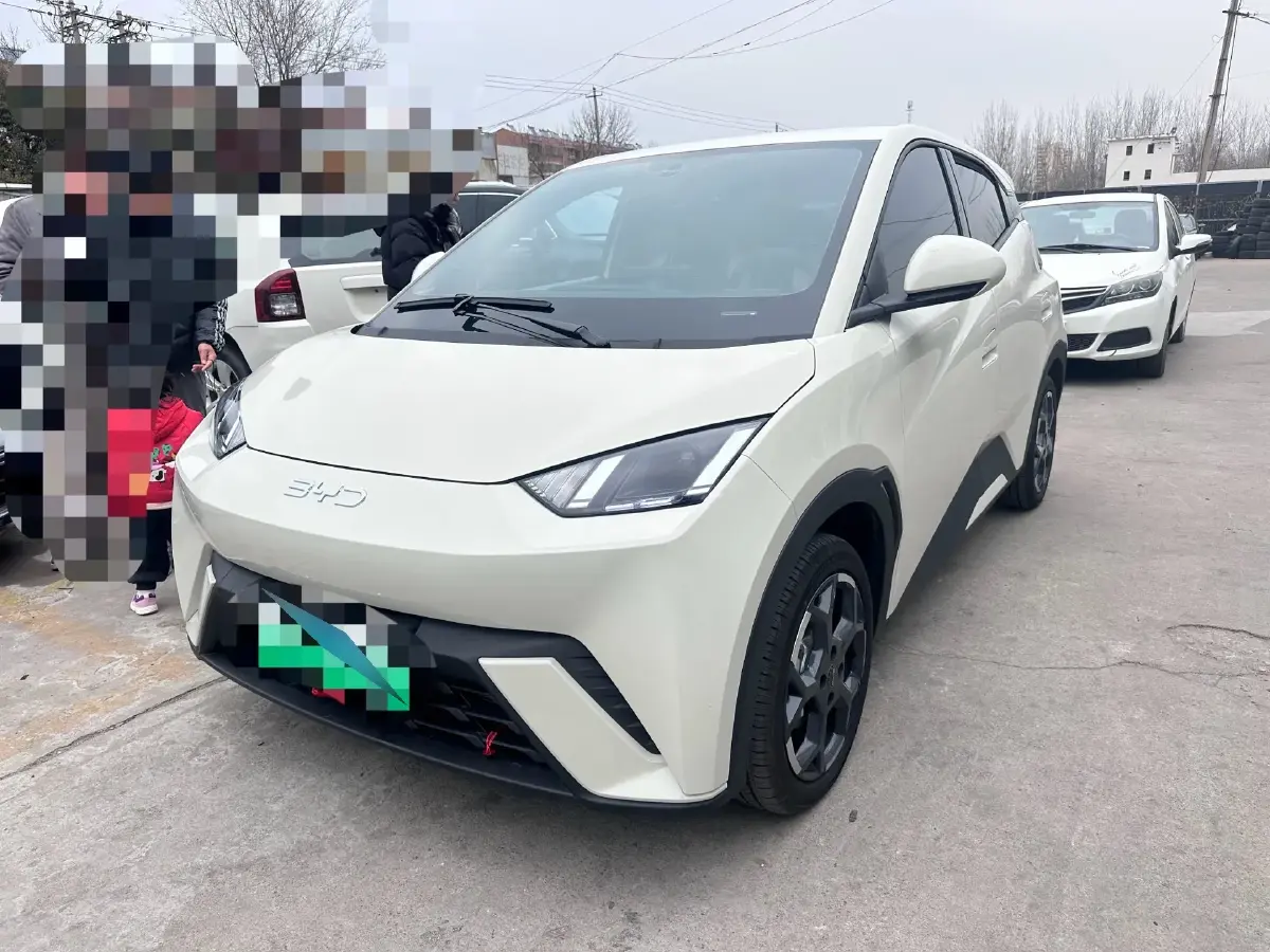 2023 BYD Seagull BEV 30.08KWH
