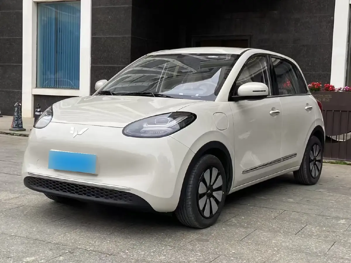2024 WuLing BinGuo BEV 31.9KWH