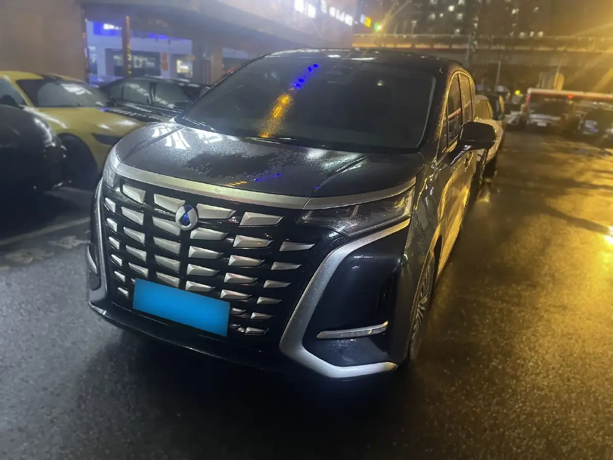 2022 Denza D9 1.5T 139HP L4 E-CVT PHEV 40.06KWH