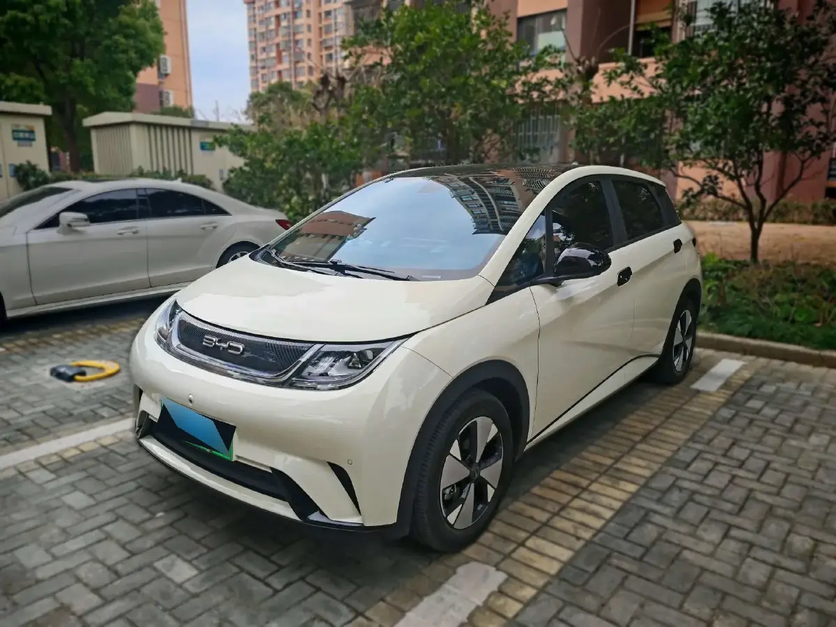 2023 BYD Dolphin BEV 44.928KWH